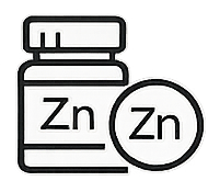 Zinok