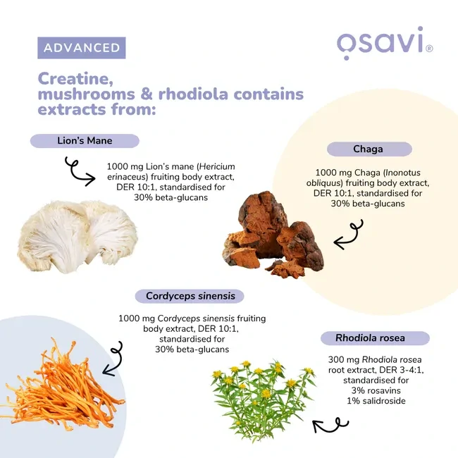 Osavi Creatine, mushrooms & rhodiola 300g